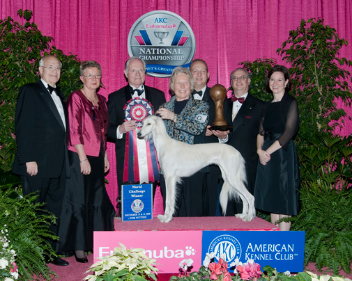 CH Dakira Sawahin EUKANUBA World Challenge Champion 2008