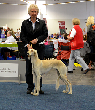 Ganjana Sawahin, Europasiegerin 2011, Foto D.Fhrke 