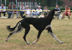 CH Chaakirah Sawahin, Foto: D.Hintzenberg-Freisleben