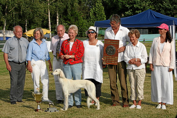 Saluki: Dakira Sawahin, BIS 2007, Foto: Ursula Brand