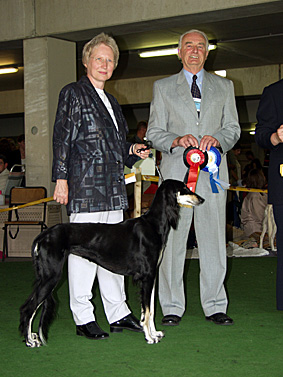 Weltsiegerin 2003 Saluki CH Walisha Sawahin, Foto: Silke Hopf, CH, aus der Saluki-Zuchtsttte Sawahin