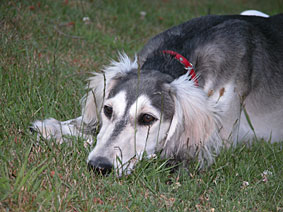 27-5319.jpg